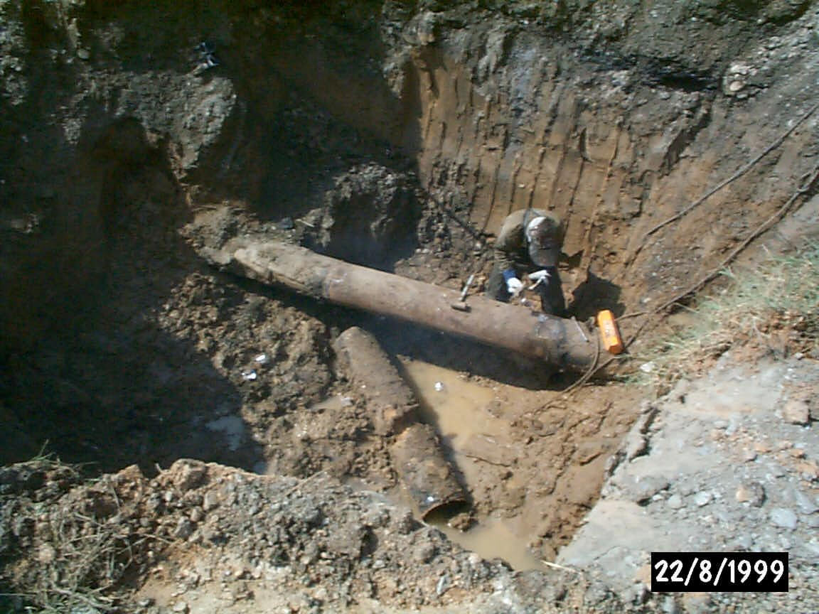 P0000303.jpg (177870 byte)