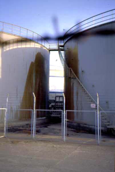 n_2.jpg (16569 byte)